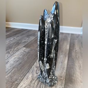 Orthoceras Straight Horn Tower Black Grey Fossils Metaphysical